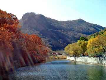 管家婆黑白马报图库，叶城seo程序